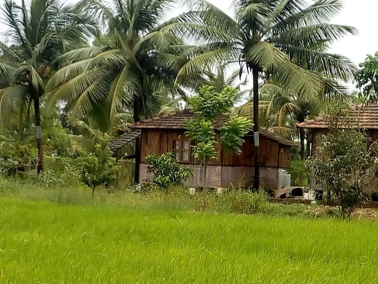 Farm Cottages * Saligao