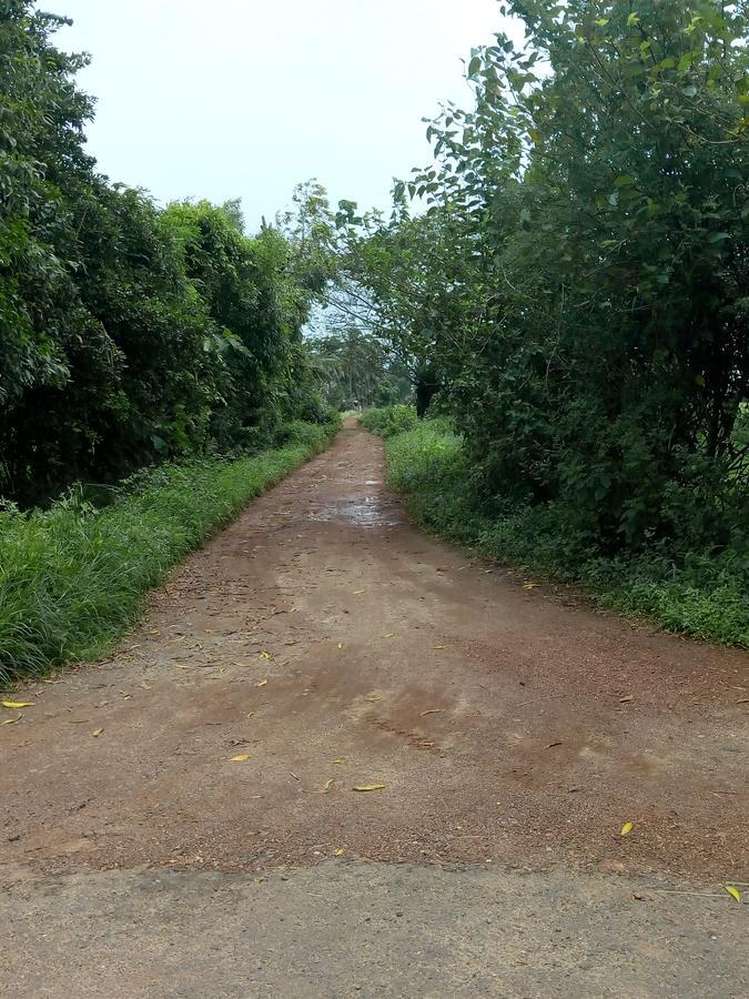 Farm Cottages Farm stay Saligao