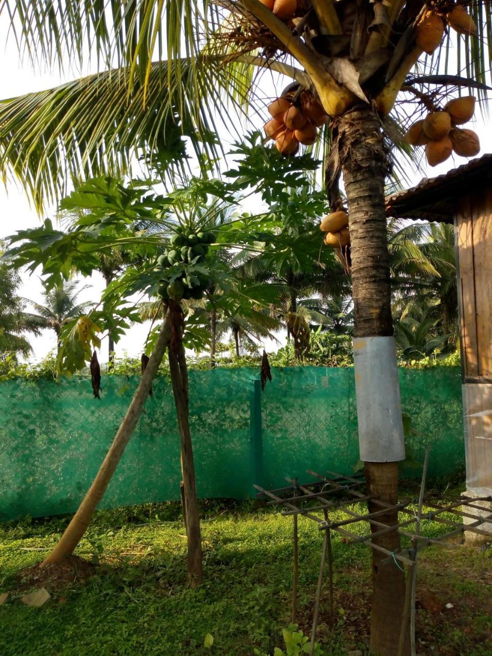 Farm Cottages * Saligao